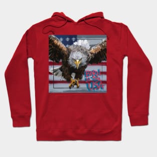 Born in The USA [Eagle-1] Hoodie